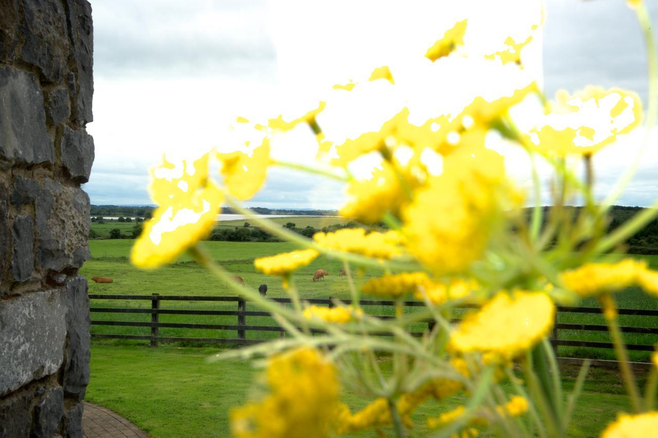 Bunratty Meadows Bed & Breakfast Ngoại thất bức ảnh
